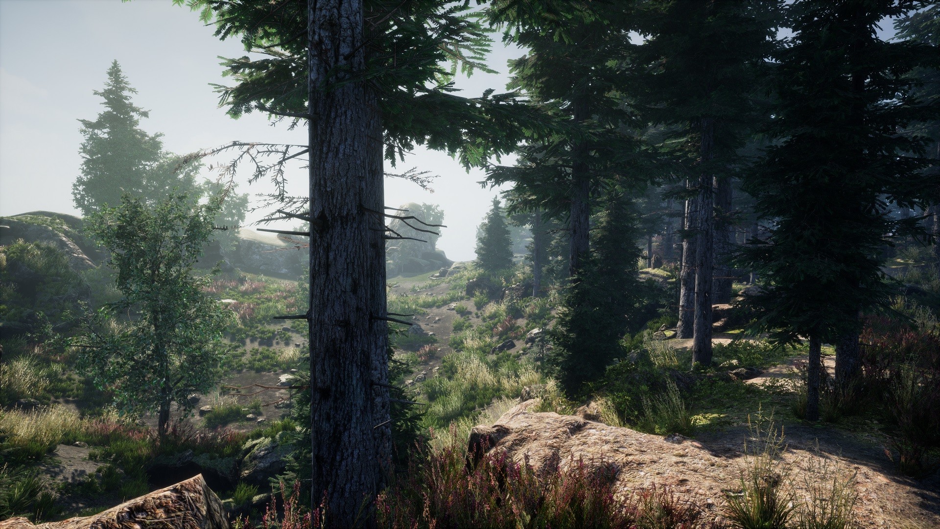 Ue 5. Анреал энджин 5. Лес. Unreal engine 5 логотип.