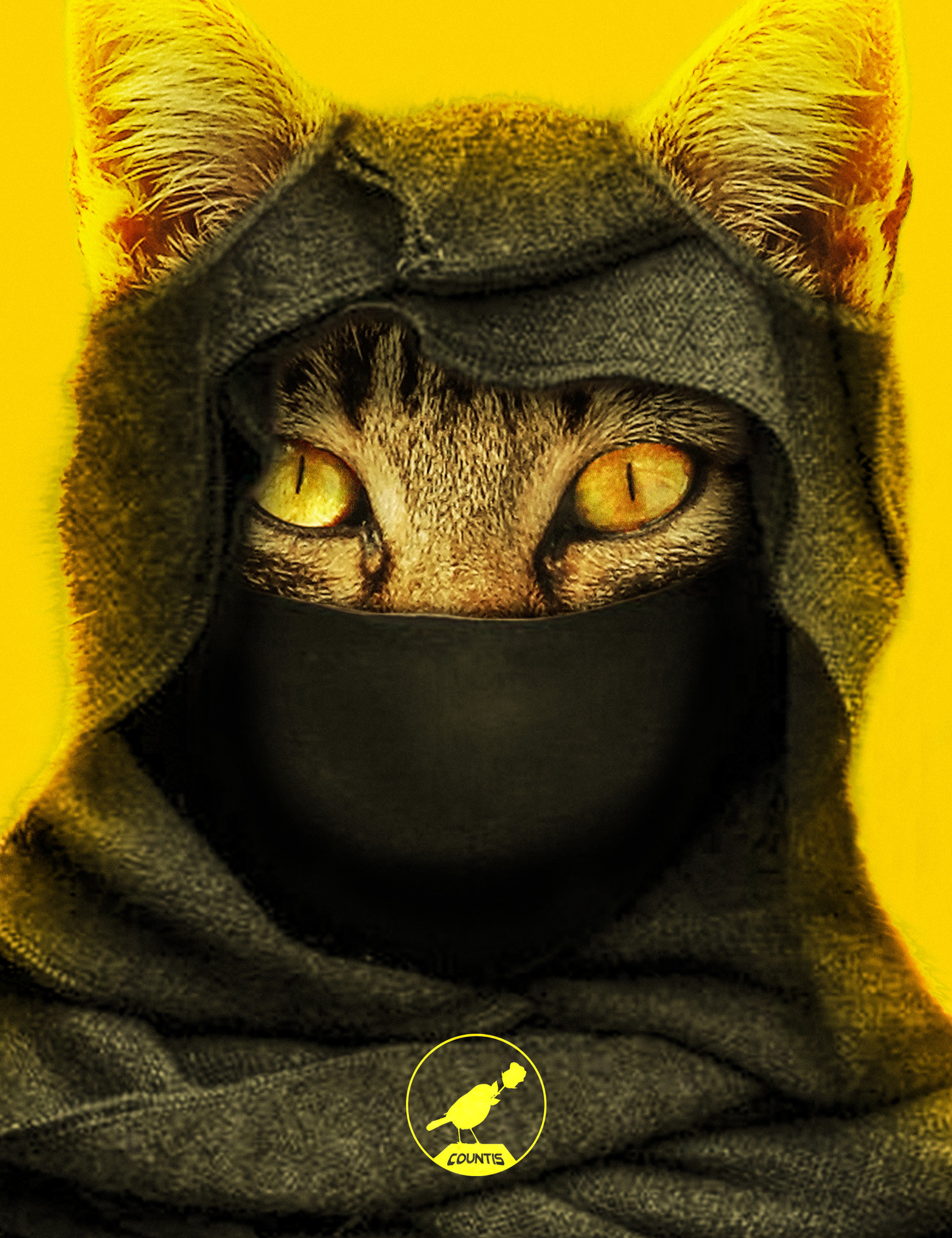 Imagini pentru cat yellow ninja