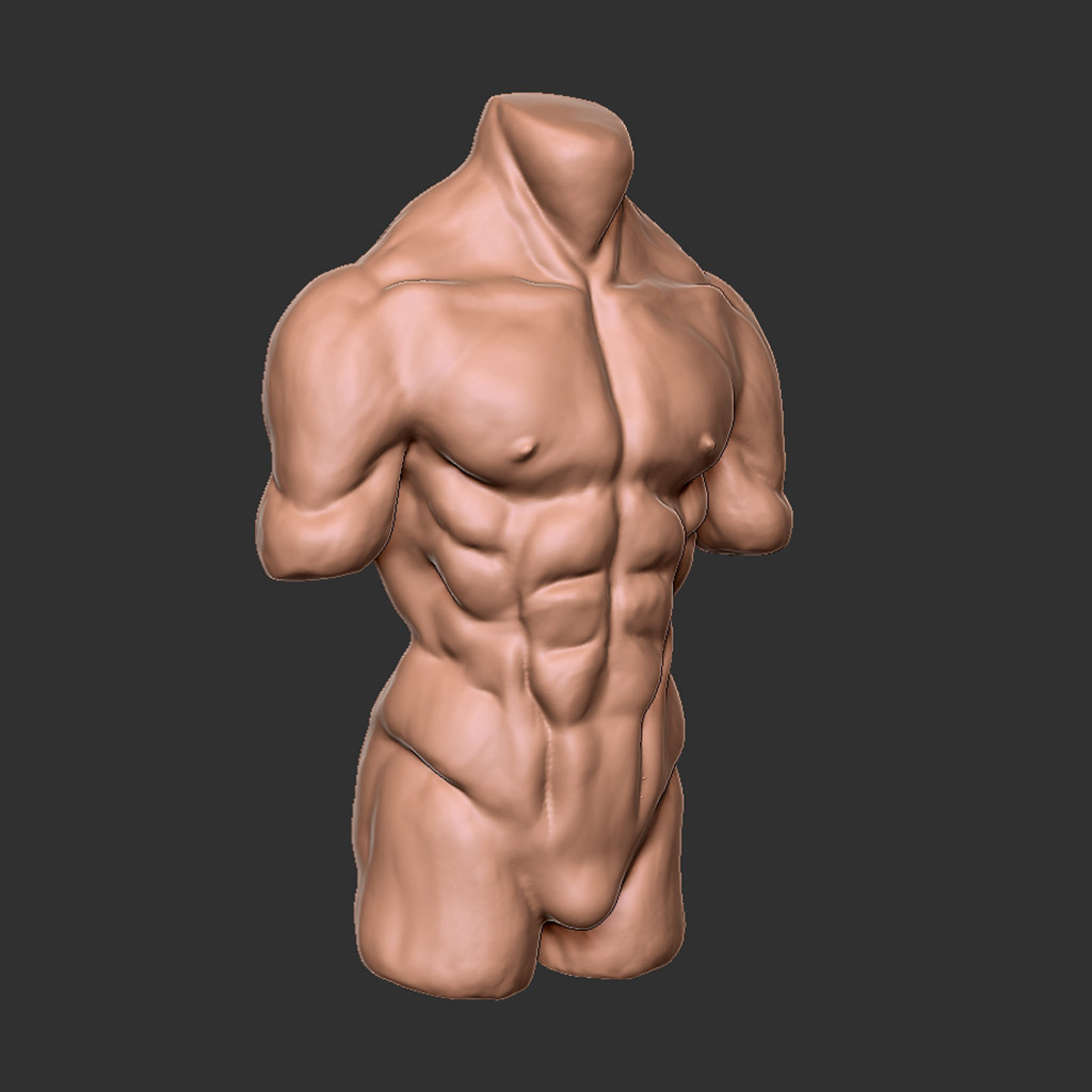 Artstation Male Torso Study Jeremias Dulaca Ii