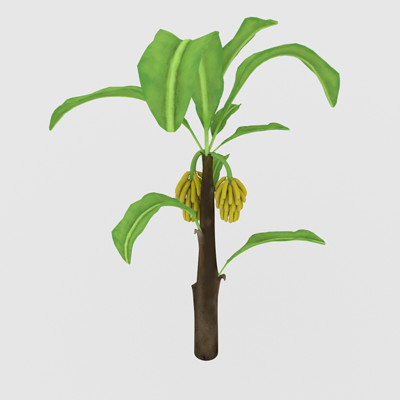 Lauren Harrington 3d Models