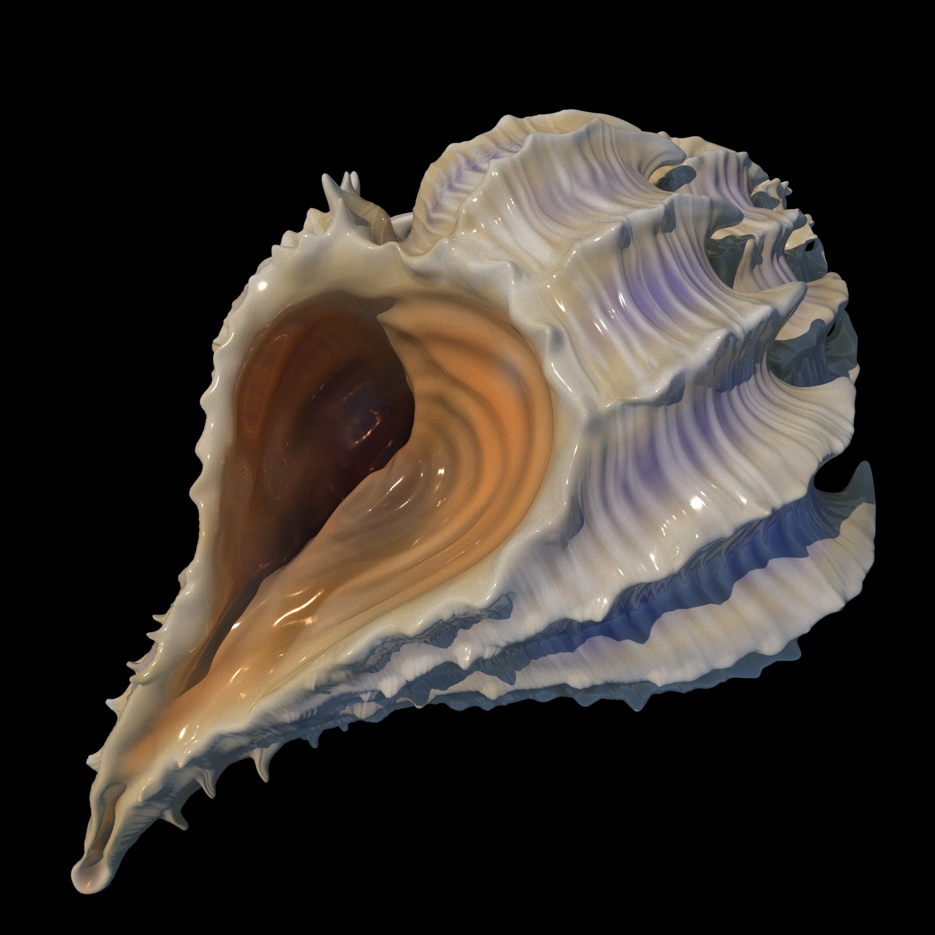 ArtStation - Seashell