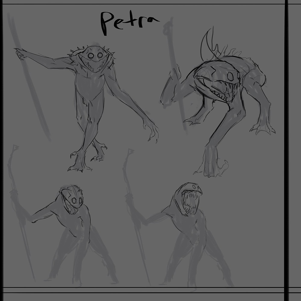 Petra concepts