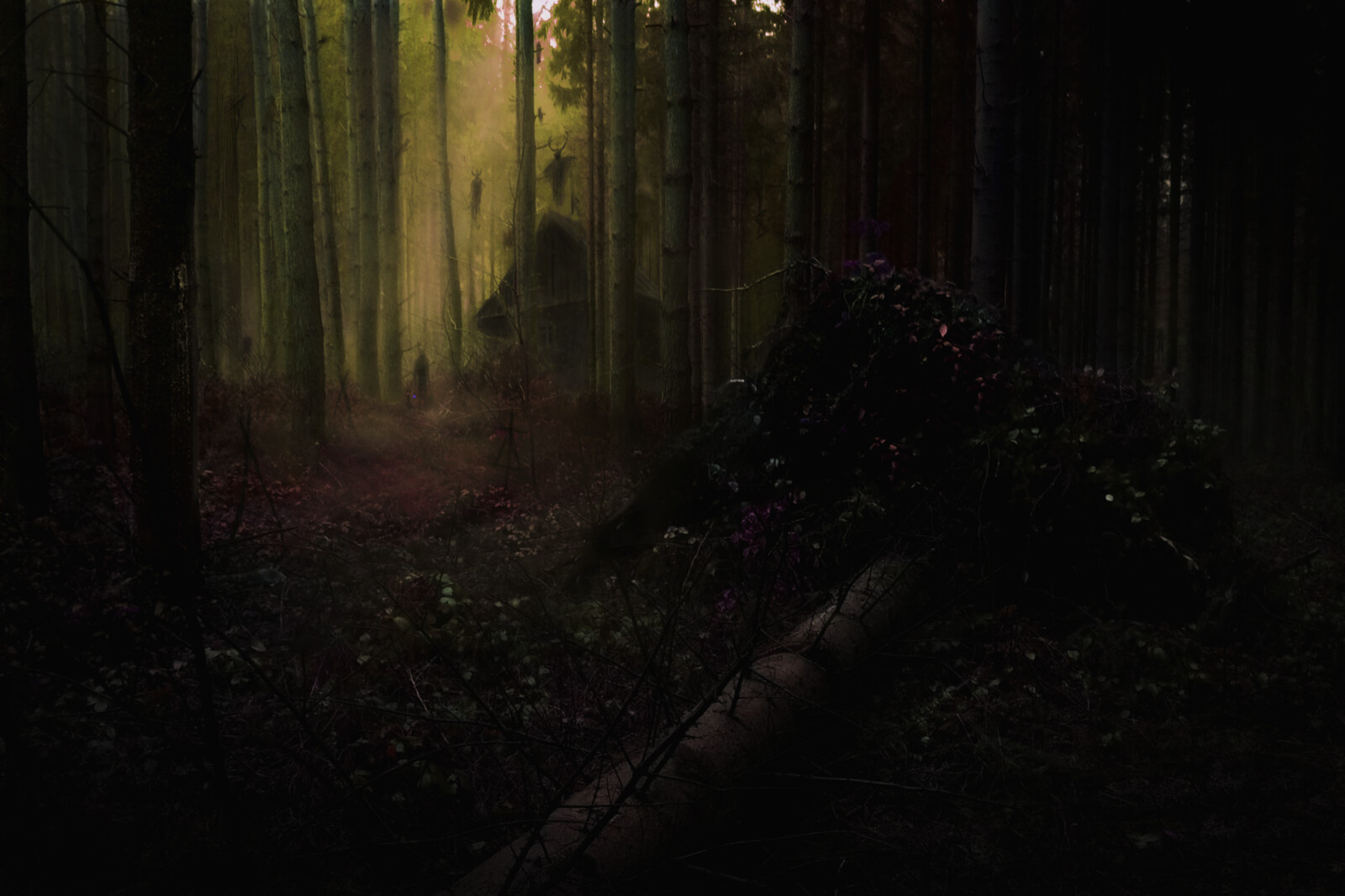 Color Study.
Created in Procreate and with some edits in Photoshop (the fog within the focal point).