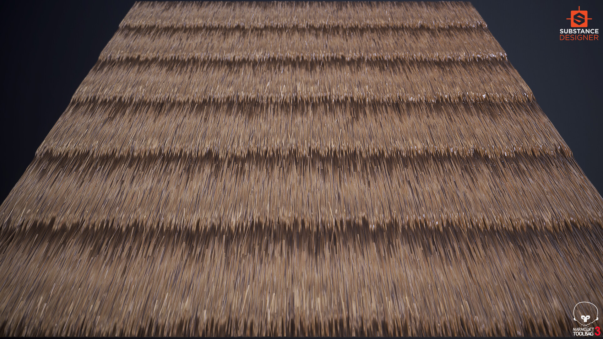 Fernando WinterBorn Straw Roof Material