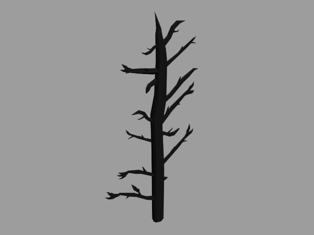 Tree: Side