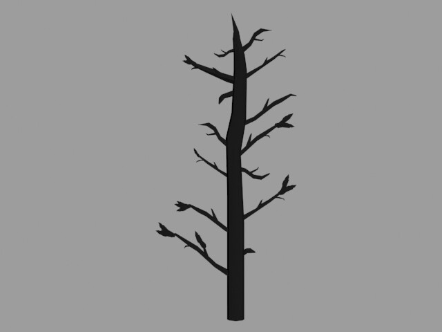 Tree: Front