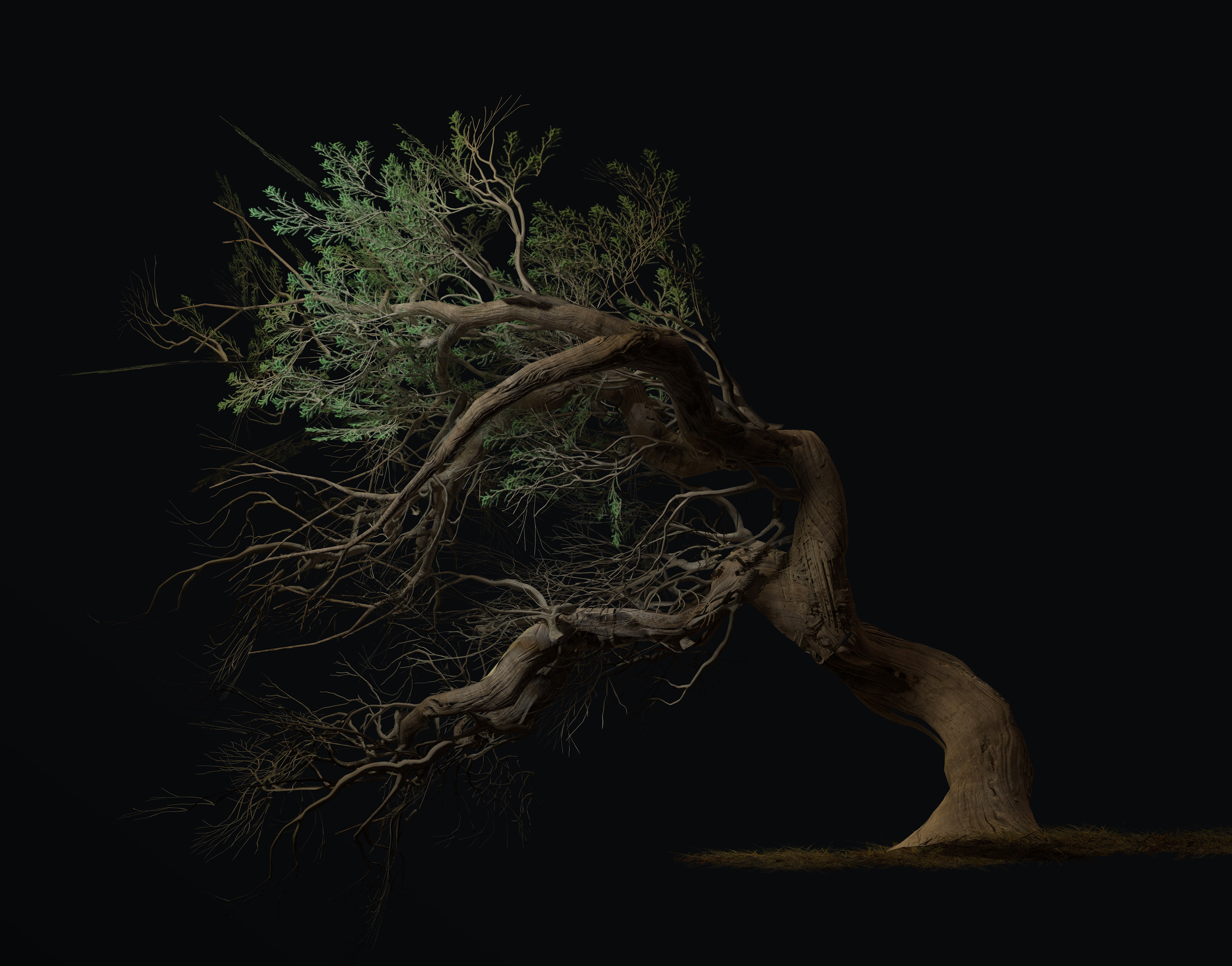 tree modeling in zbrush
