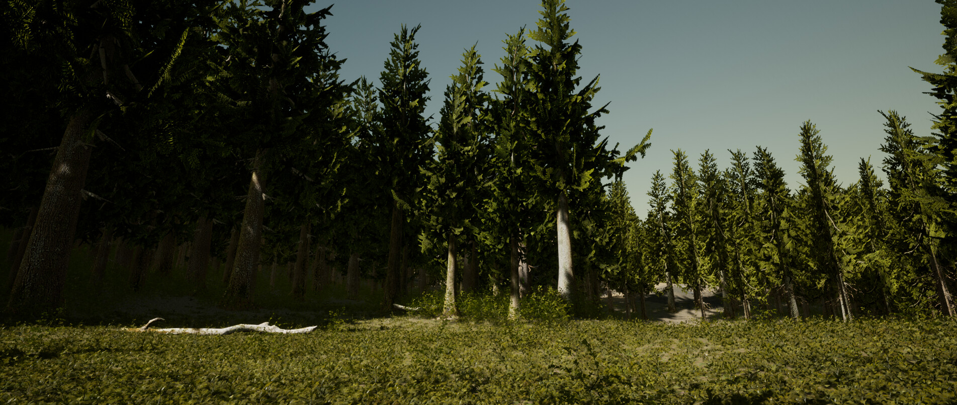 Artstation Forest Generator Patrick Loughman