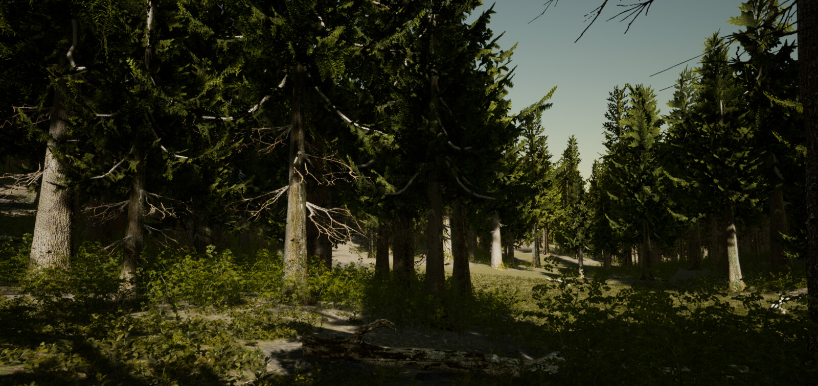 Procedurally generated forest. Zero hand placement.
