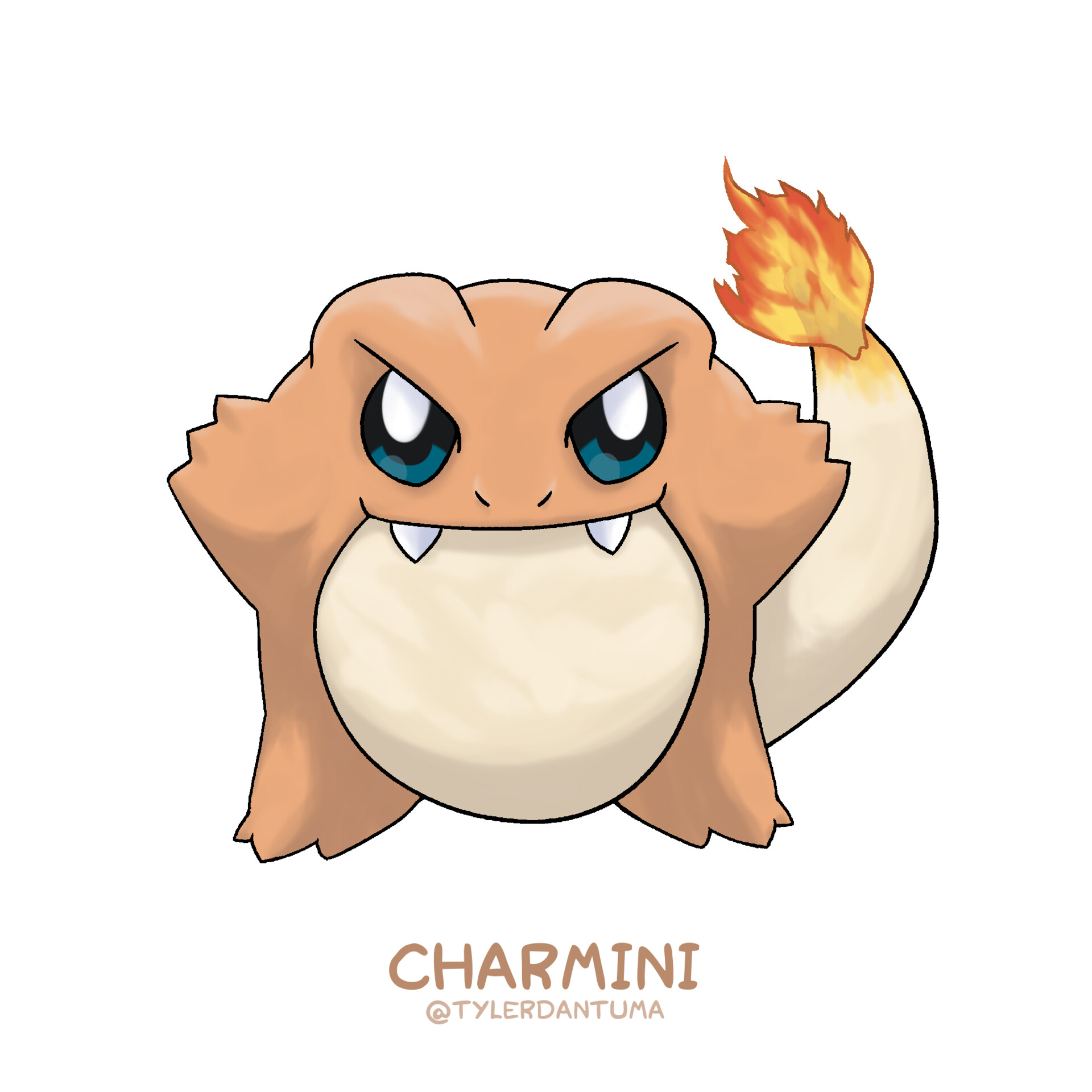 charmander #pokemon  Pokemon charmander, Baby boy, Baby fever