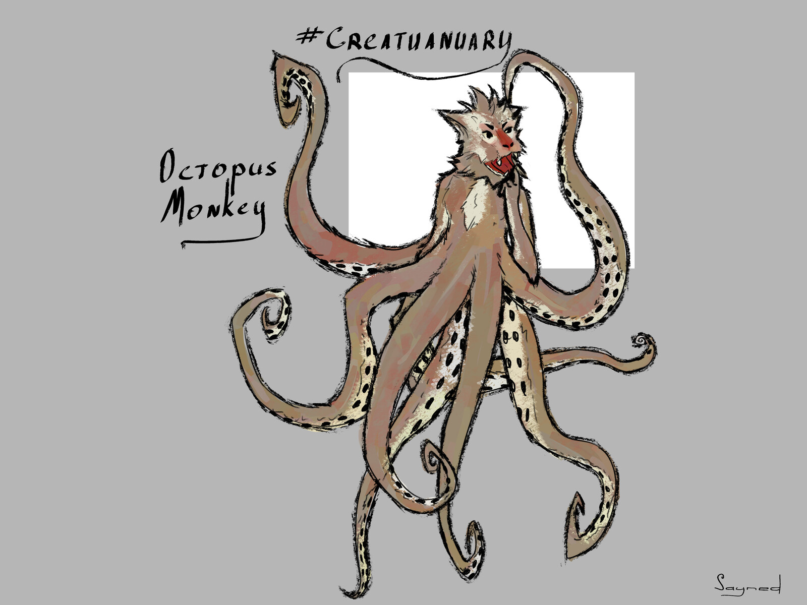 Day 3. Octopus Monkey