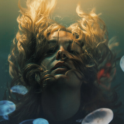 Bryce fergs drown