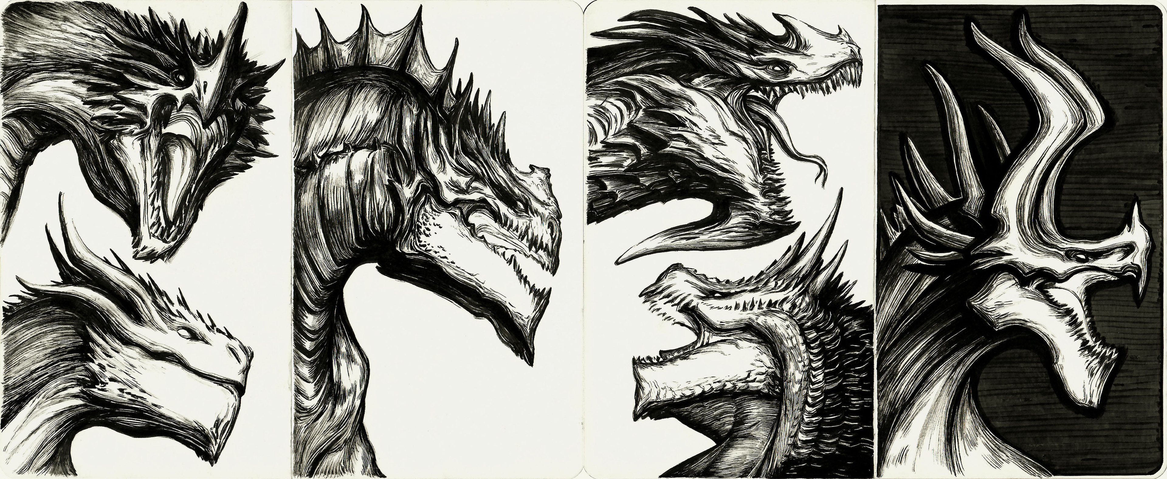 Зубы дракона. Зубы дракона рисунок. Зубы дракона референс.