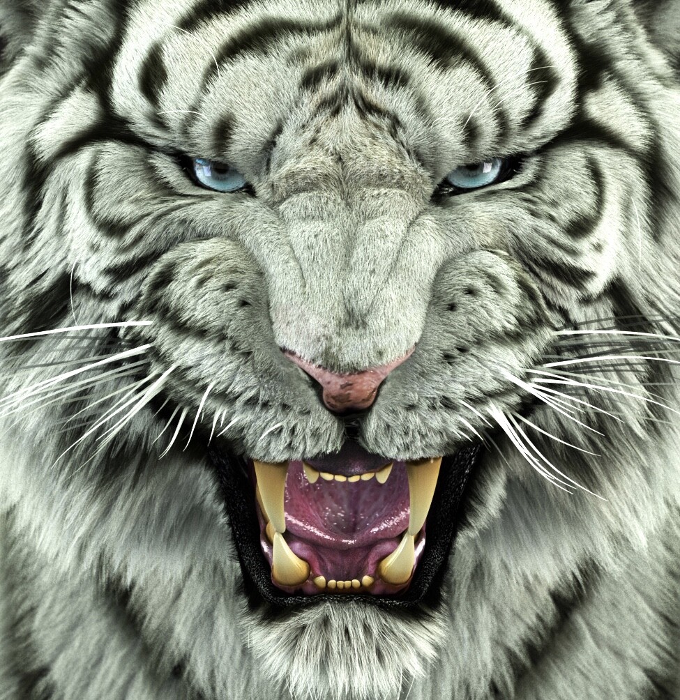 White Tiger