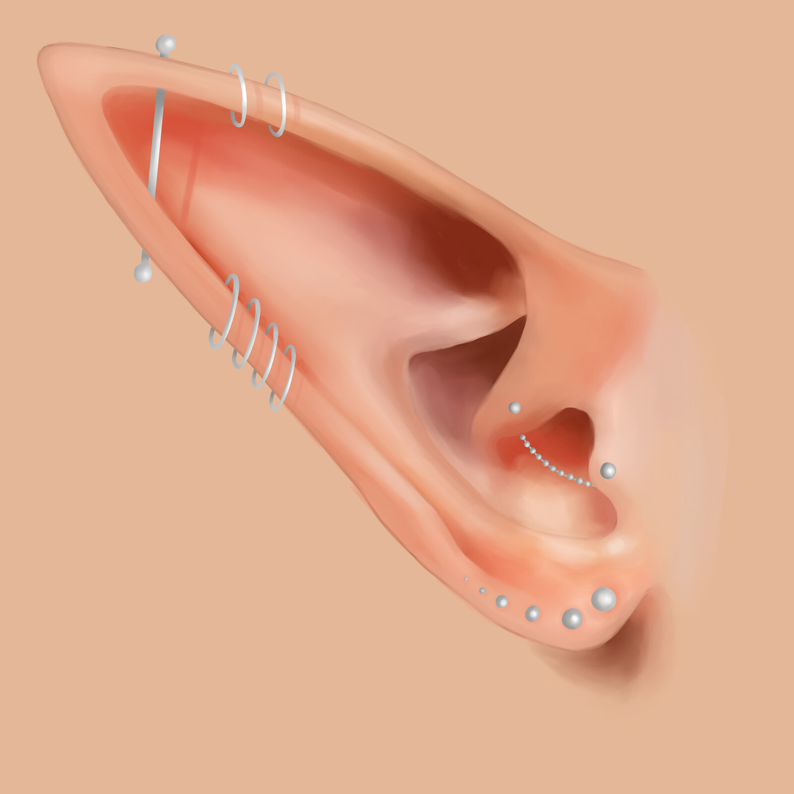 images Elf Ear Drawing ear practice marleen eijkemans