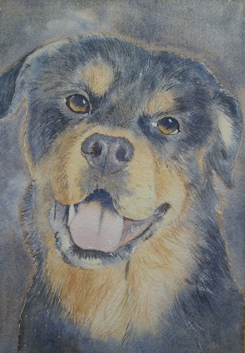 ArtStation William Johnson