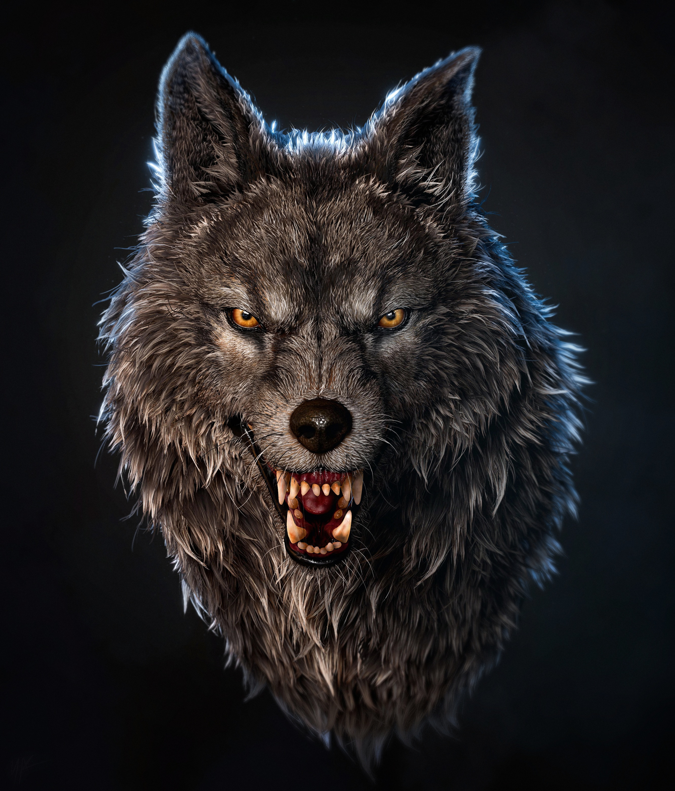 Агрессивные авы. Злой волк волк оскал. Оскал волка. Волчий оскал арт.