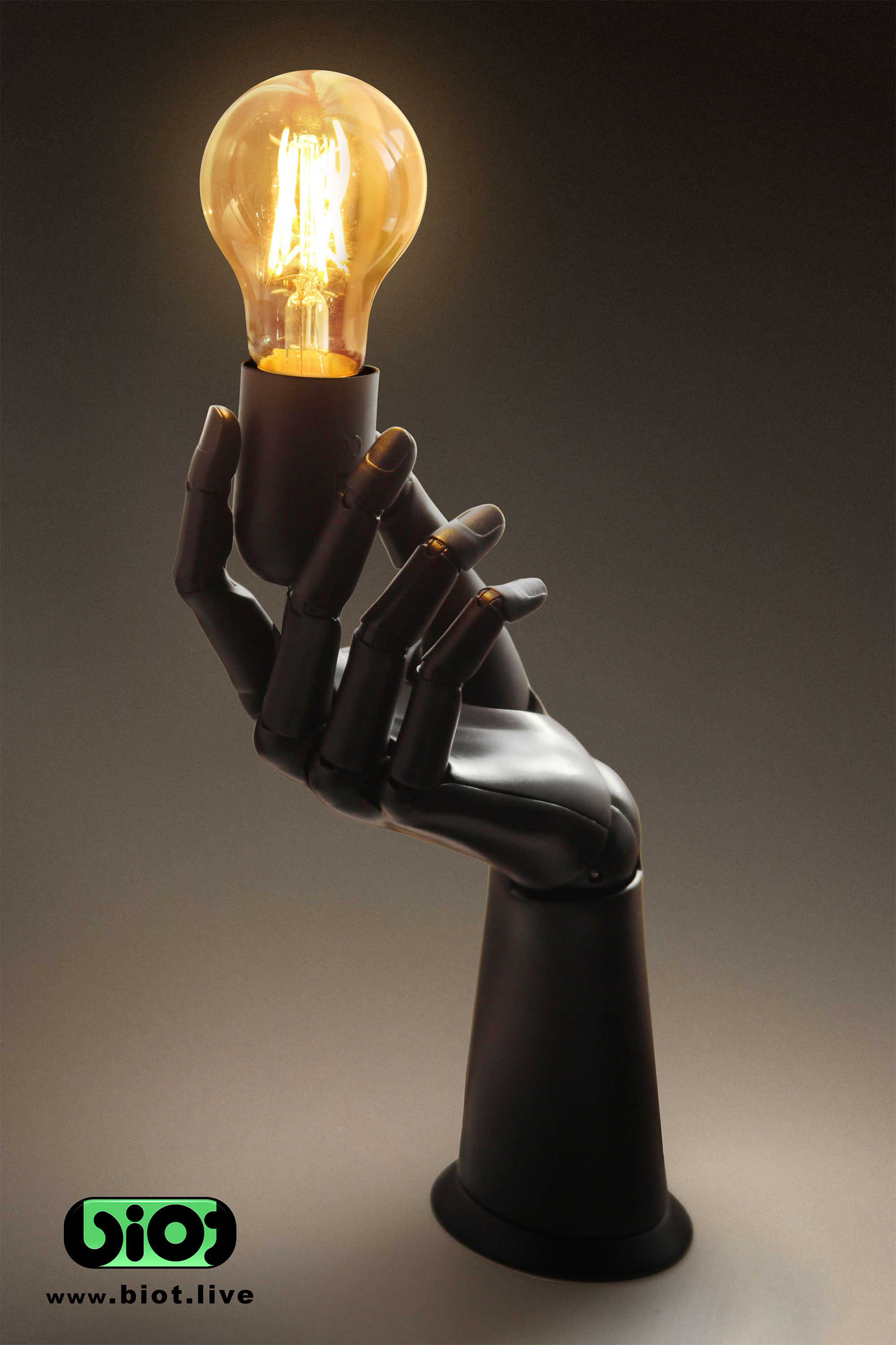 Lamp holder hand BIOT