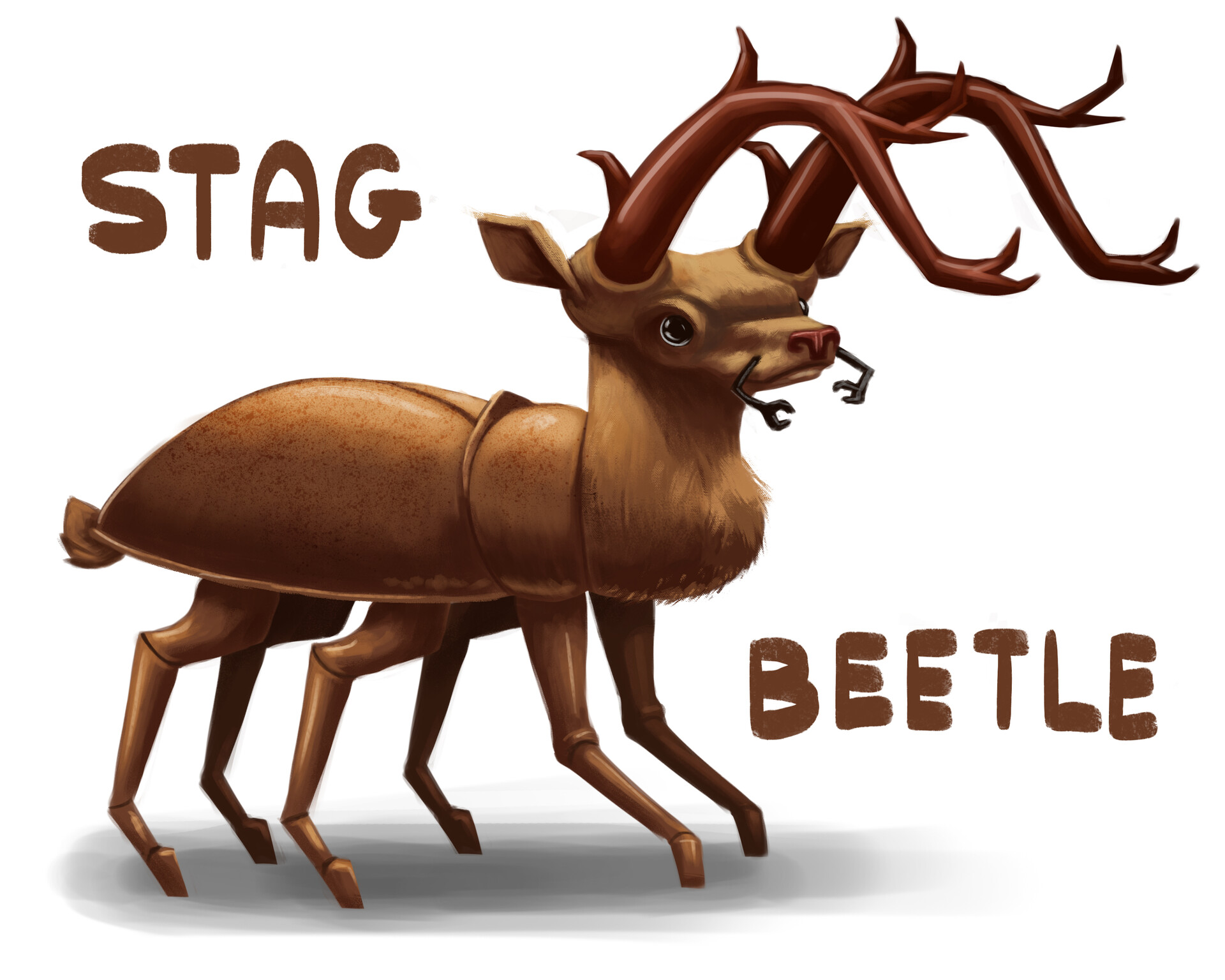 Stag Beetle. Stag реклама. King Stag Beetle. Stag Beetle furry.