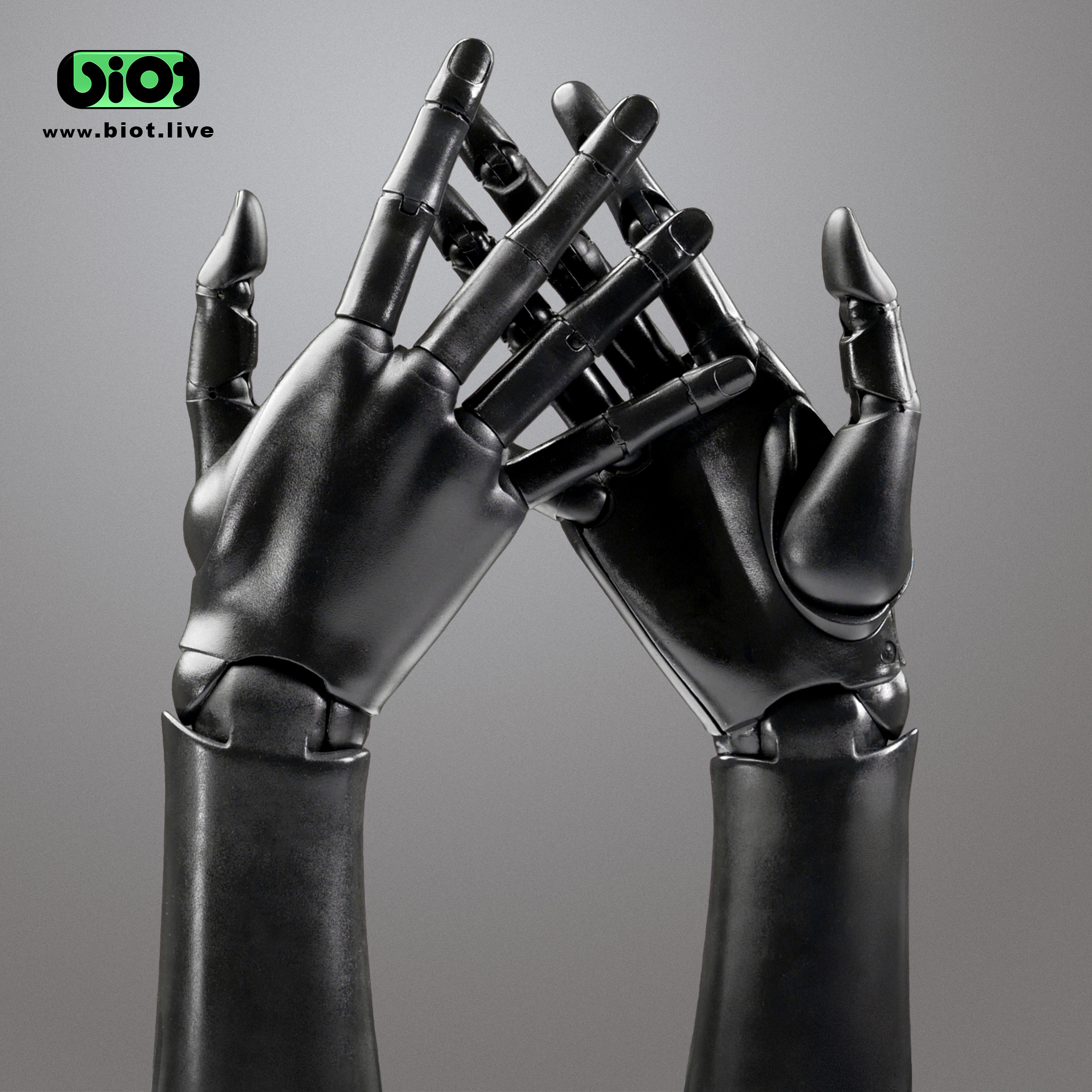 Pair of bionic hands