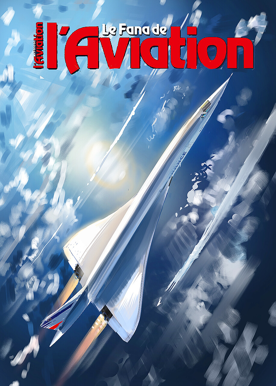 Julien lepelletier ART - Concorde le merveilleux, concorde the