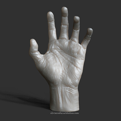 Realistic hand - sculpting from live reference