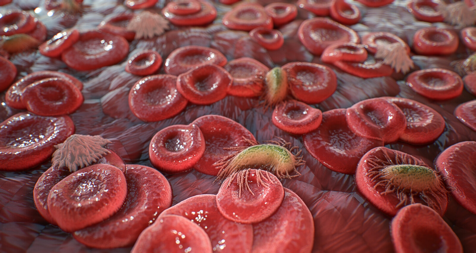 Blood cells Material on a plane