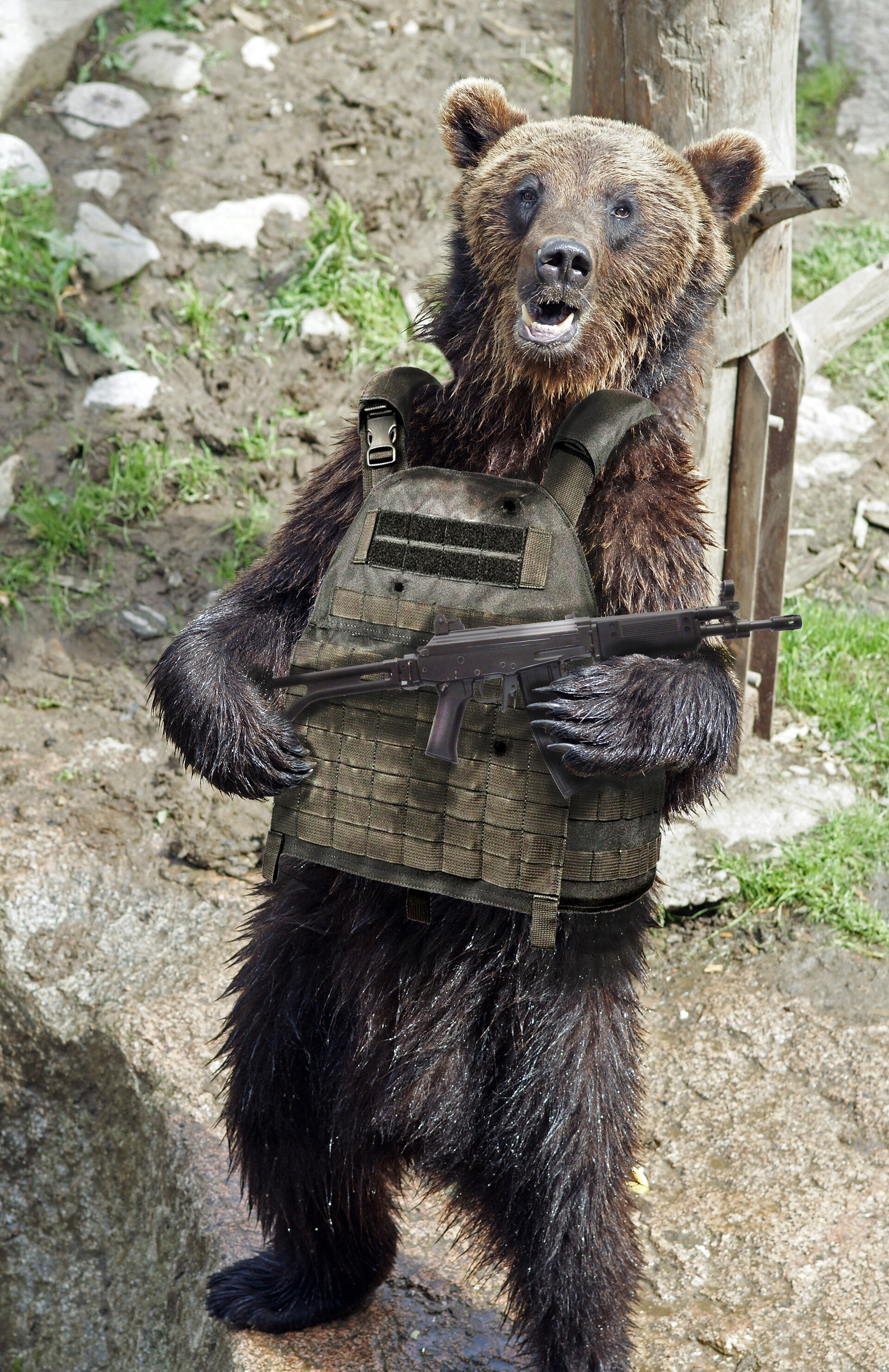 fao soldier bear