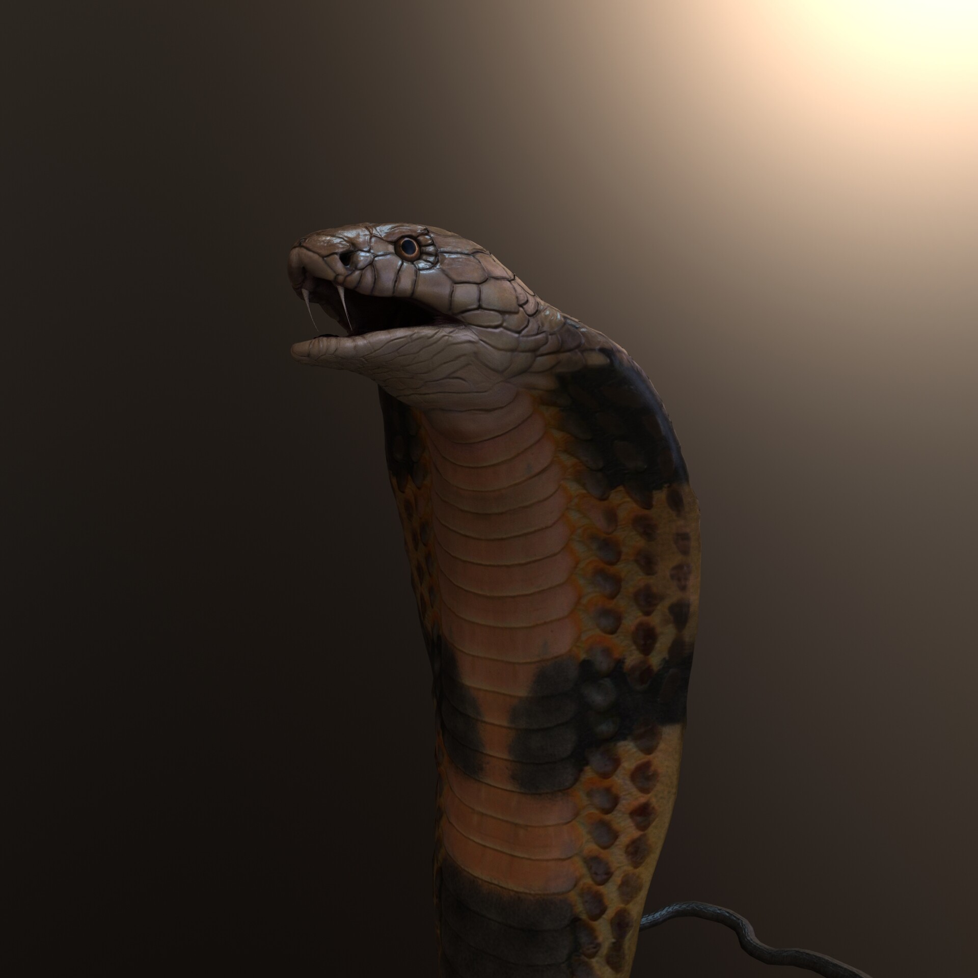 Artstation 3d King Cobra Model Mustafa Vangol
