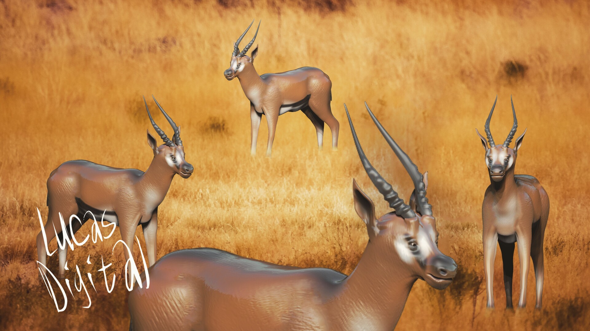 Lucas Santos Gazela De Thomson Eudorcas Thomsonii