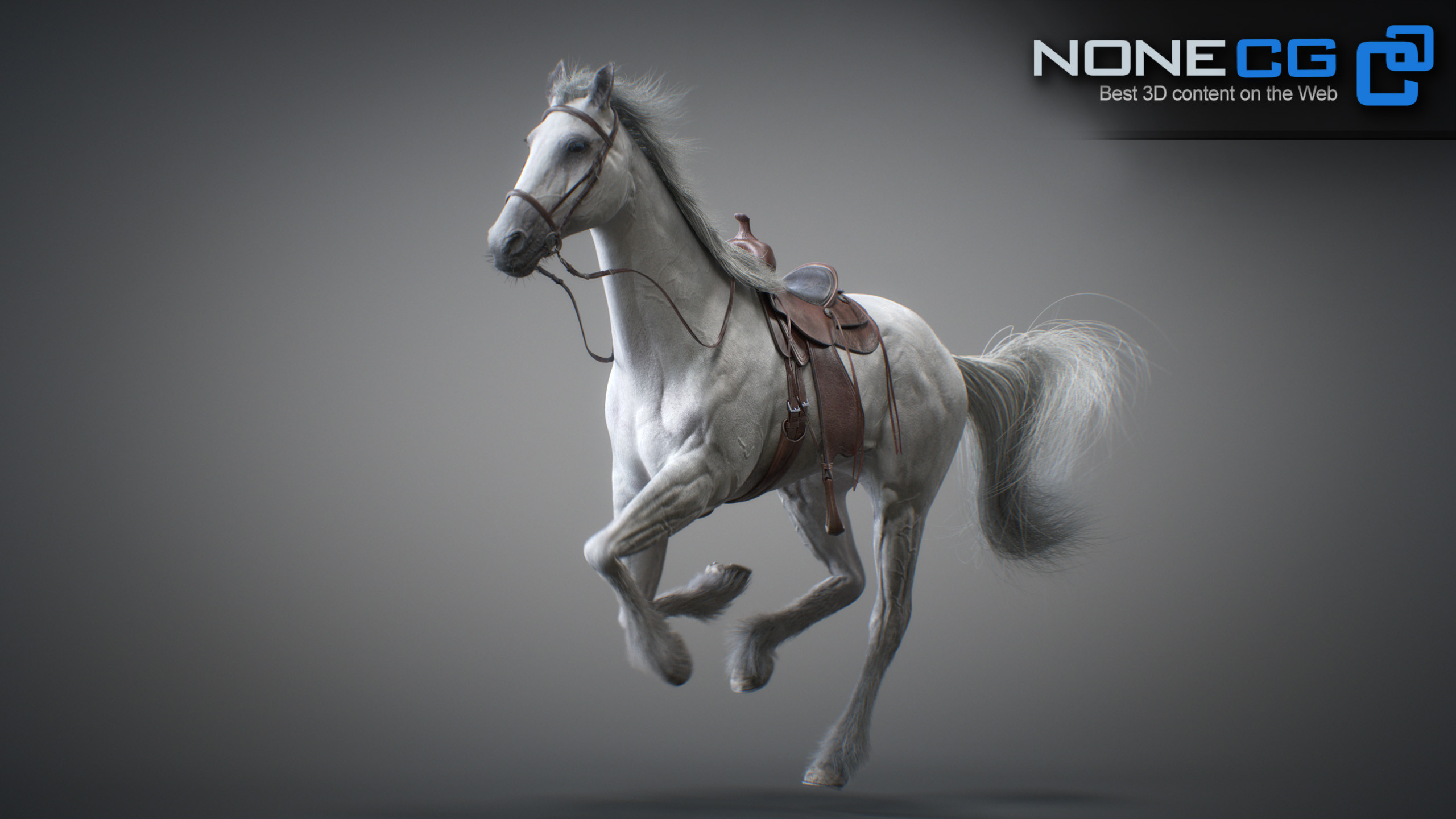 3D Horse Animated by NoneCG