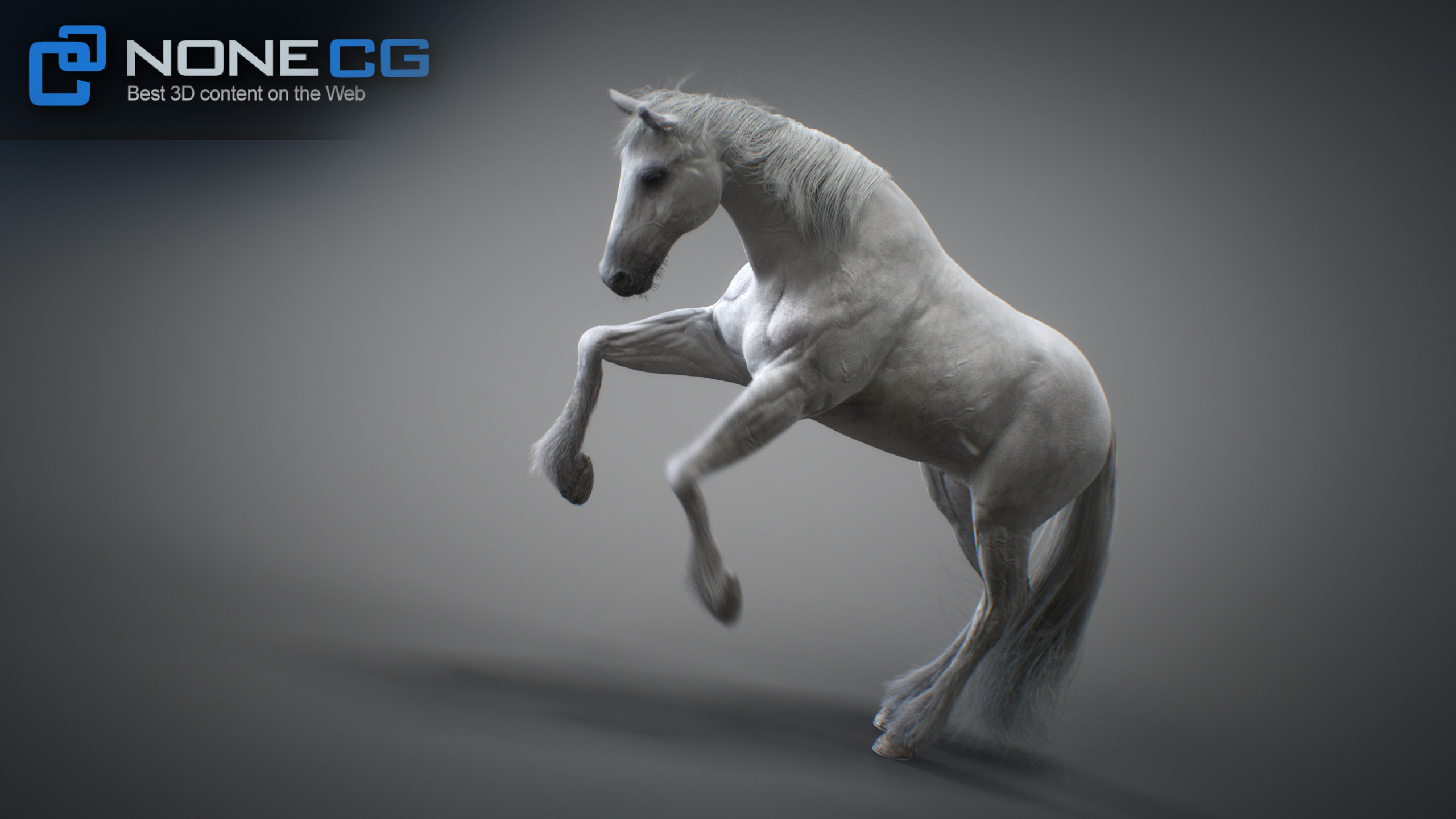 3D Horse Animated by NoneCG
