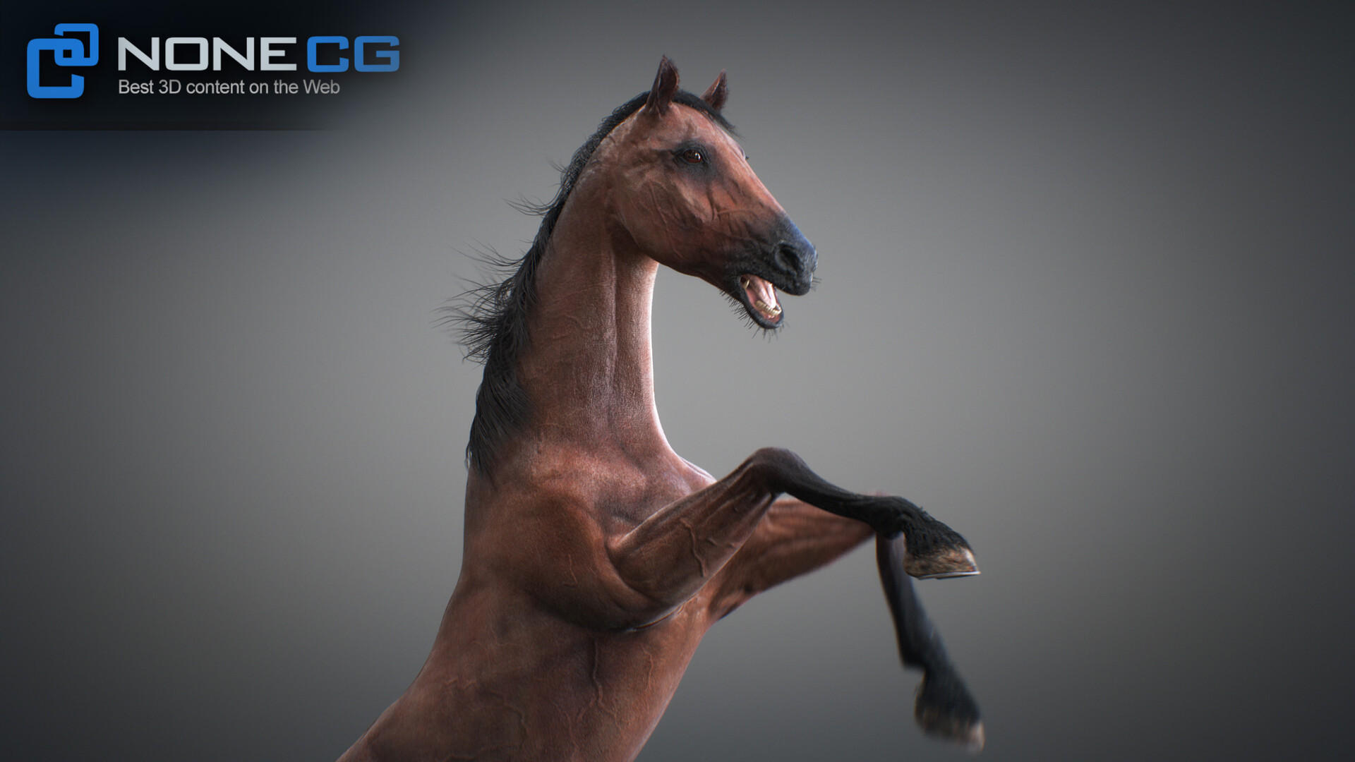 Лошадь 3д. Мод на реалистичных лошадей. Девушка и лошадь 3д. Maxsmeagol 3д Horse. Rekin 3d