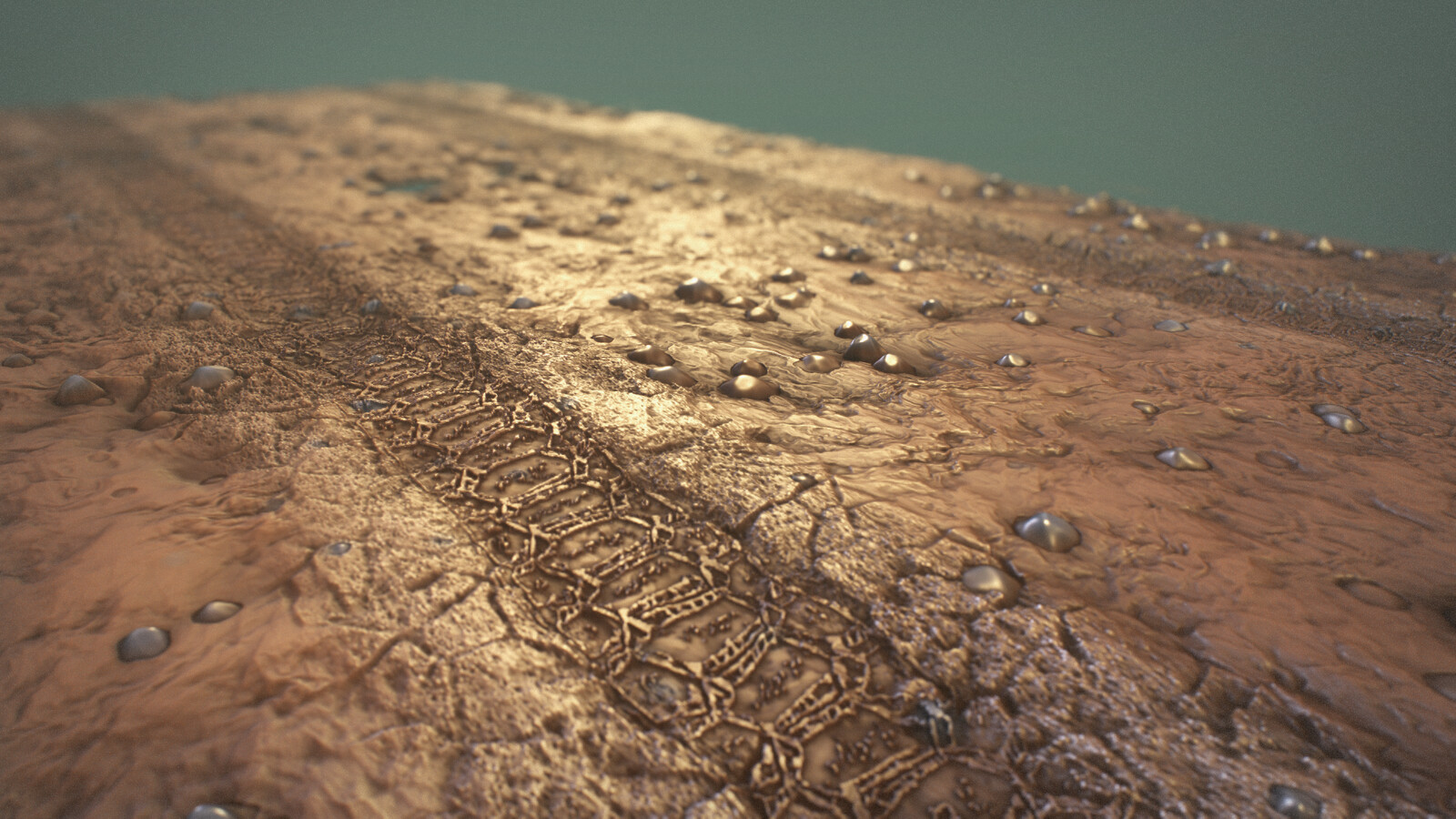 Ground Substance on plane
