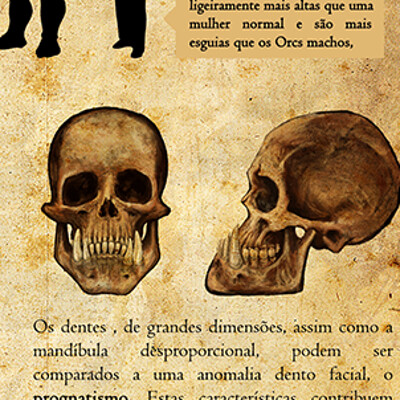 Ines garcia prancha cientifica orc anatomia copy