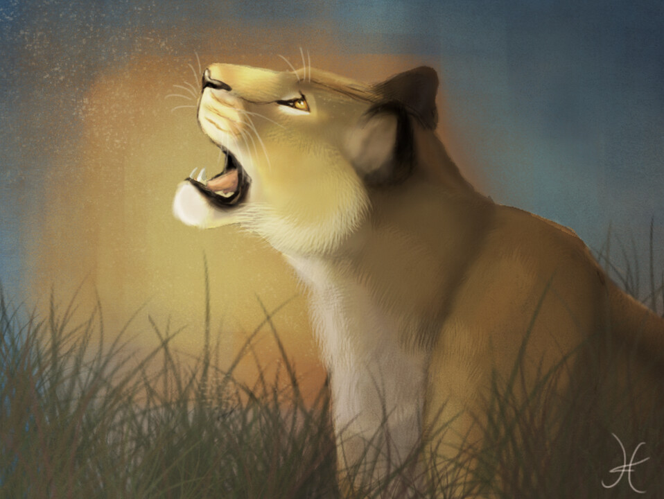 Lioness wallpaper by Srinathh7  Download on ZEDGE  07a3
