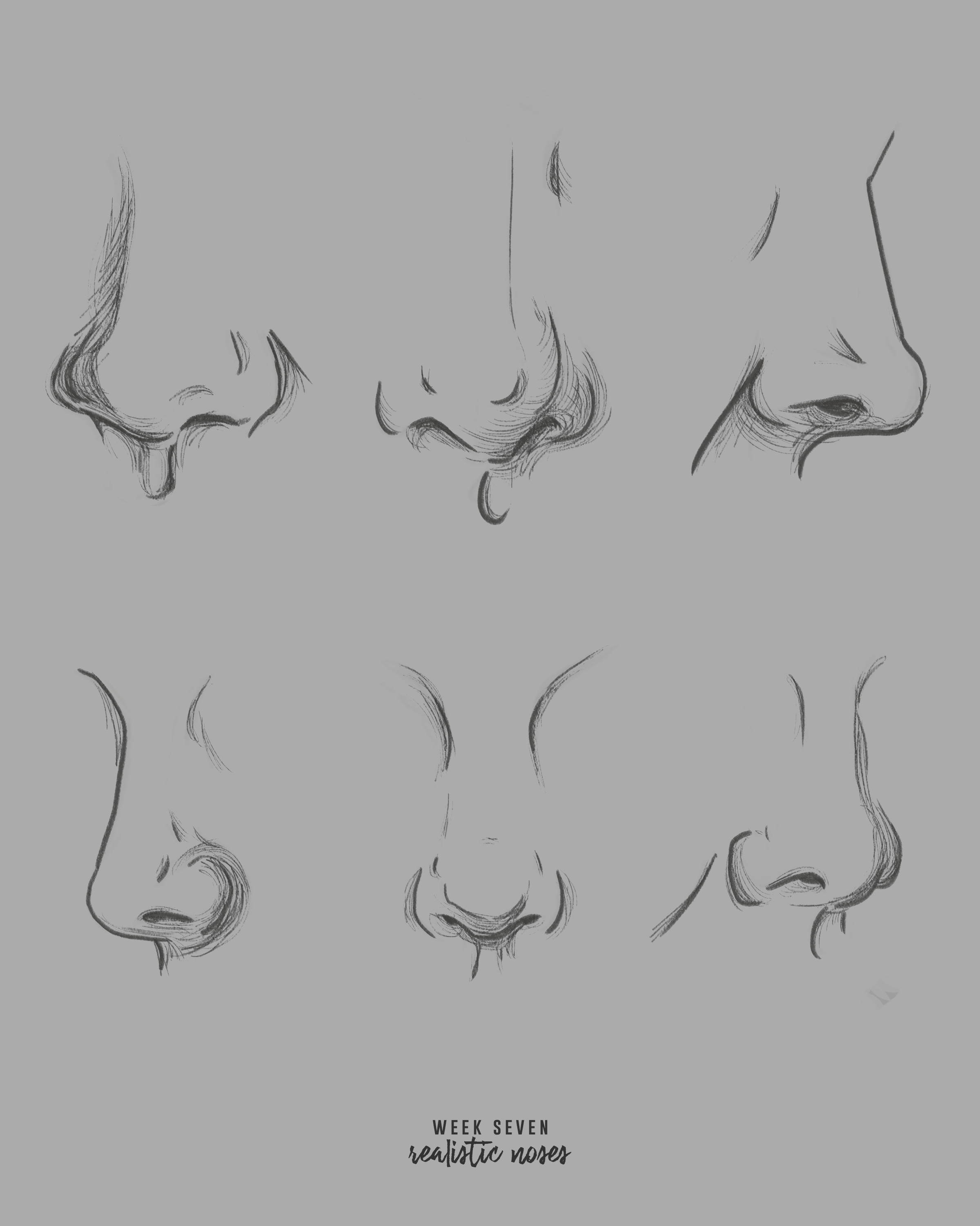 noses