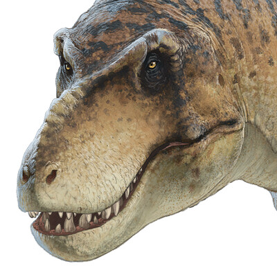 tiranosaurio - Tyrannosaurus rex - Página 5 Fred-wierum-rex-4
