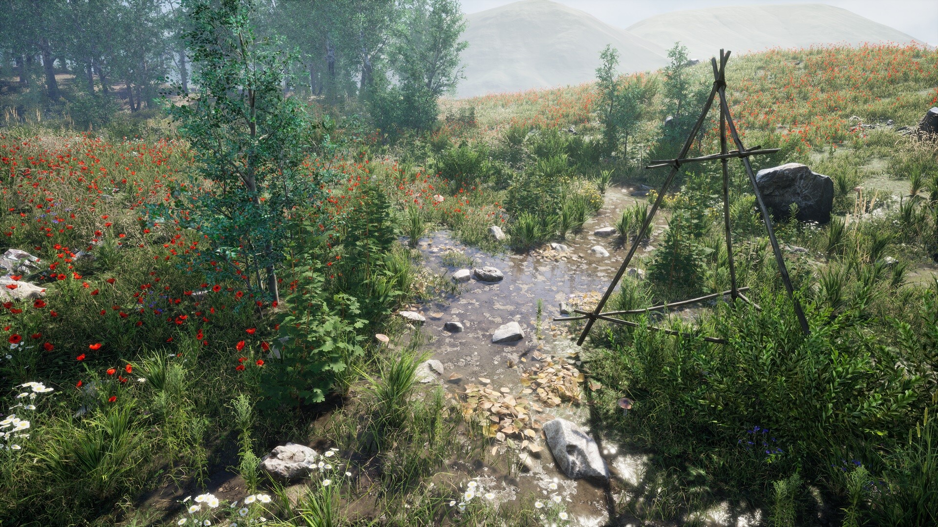 Environment on set. Betulaceae Unreal Asset. AMCEN environment. Maya setting environment.