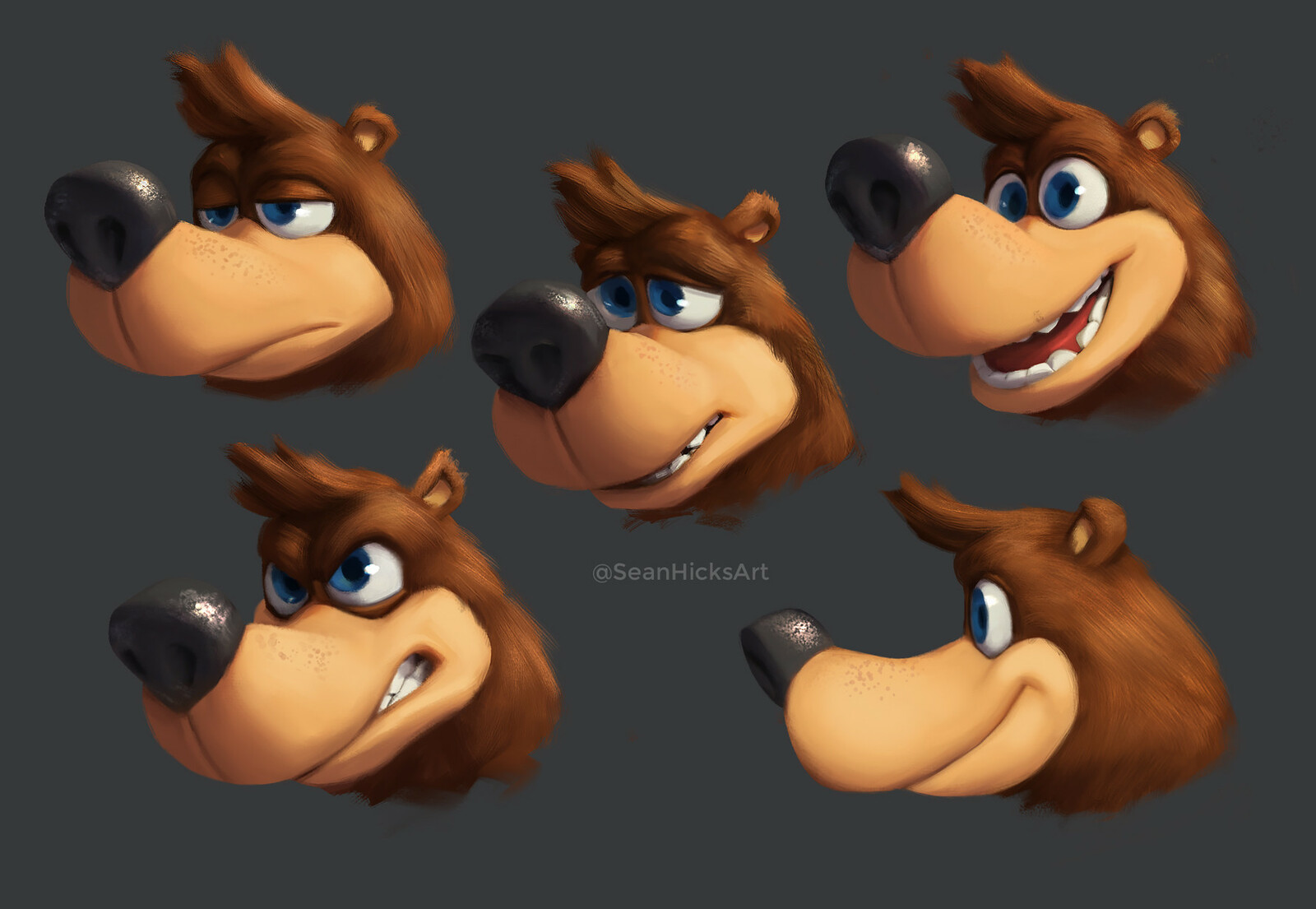 An older exploration of different expressions for Banjo. Also helped with seeing how Banjo's brows would work with fur that leaned toward realism. 