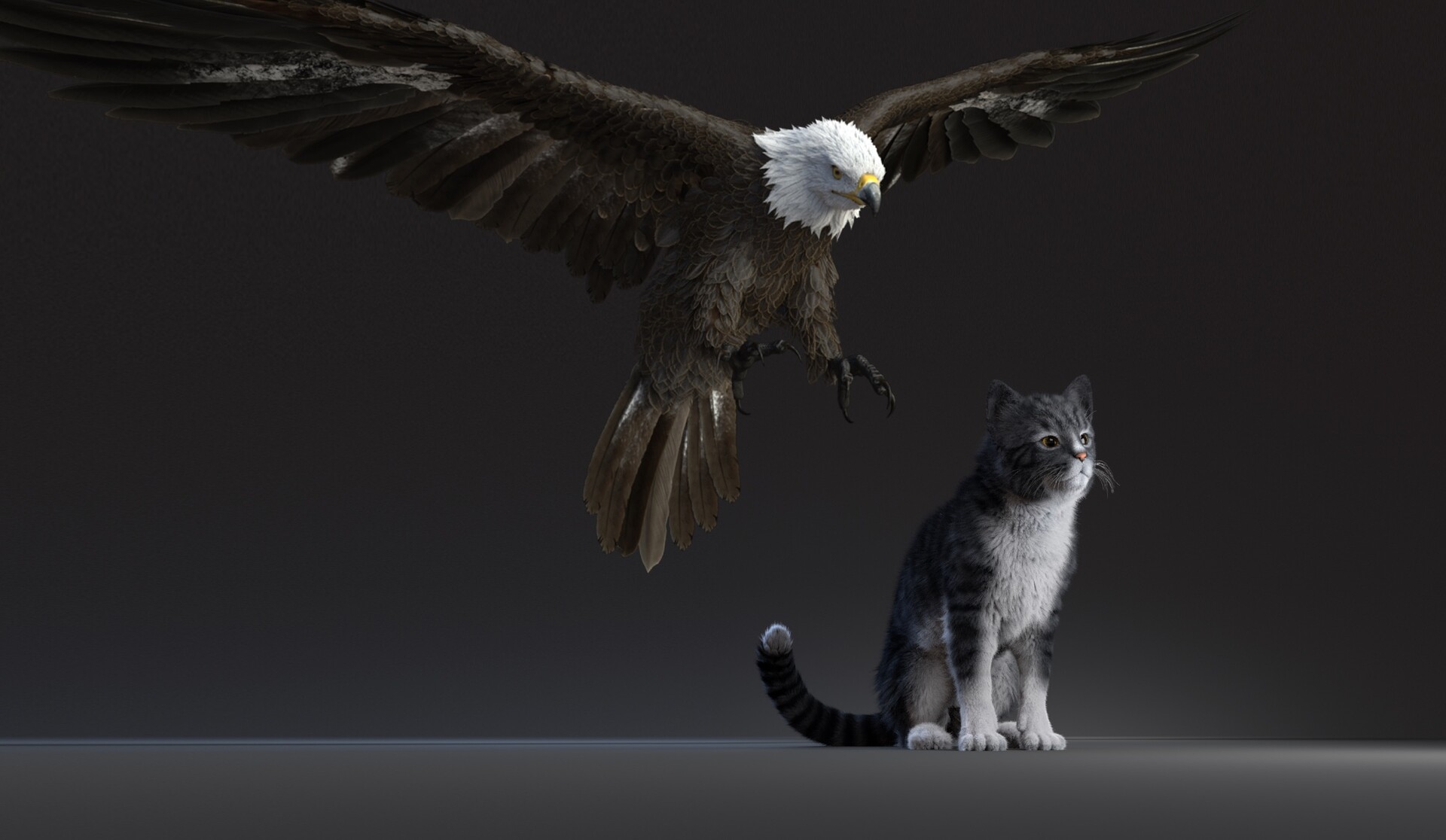 ArtStation Eagle cat