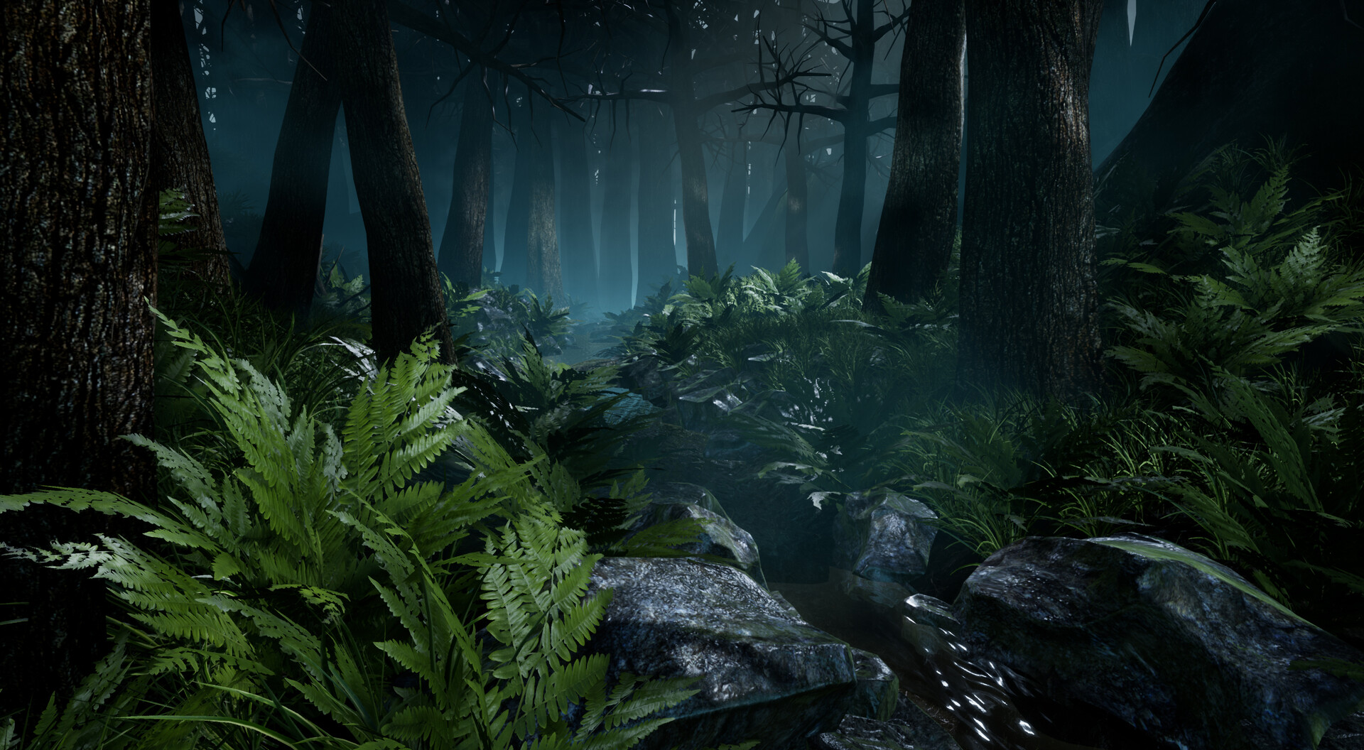 Dark Forest: Khi khám phá những bức ảnh về rừng tối của chúng tôi, bạn sẽ được đắm mình trong không gian bí ẩn và ma mị của rừng. Bức ảnh sẽ khiến bạn cảm thấy mình đang thám hiểm trong những cung đường rừng rậm hoang sơ, với những ánh sáng lung linh vừa đủ để đốn tim của bạn.
