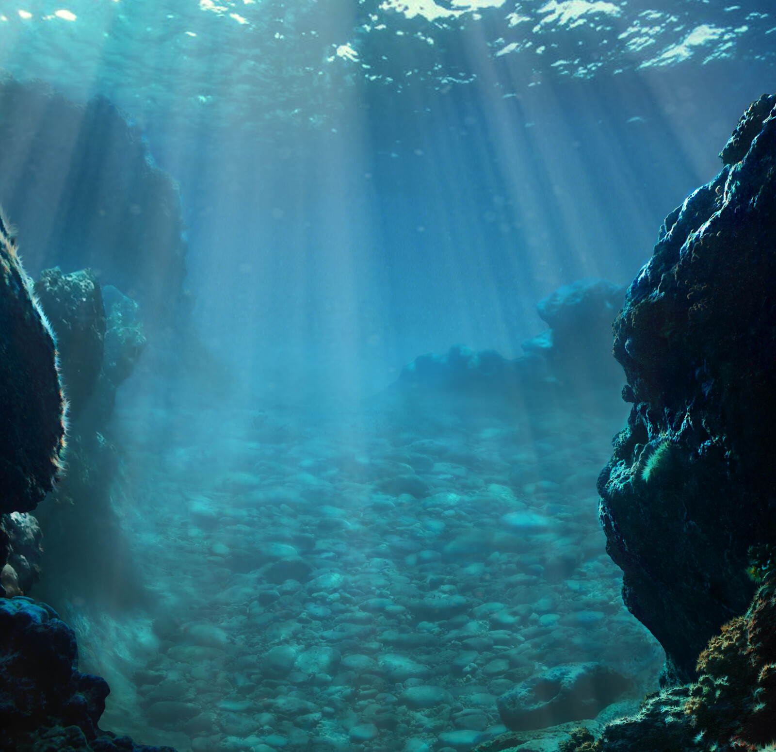 ocean floor