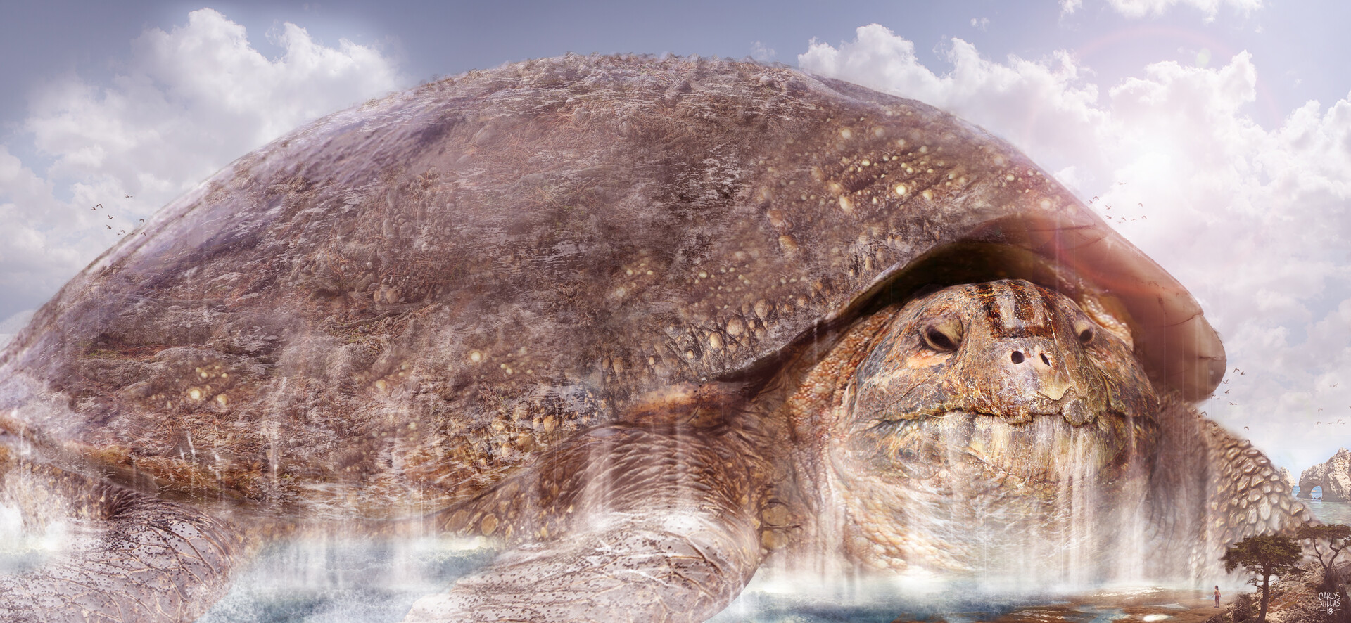 Film Concept Turtle1 by Carlos Villas : r/BirdsForScale