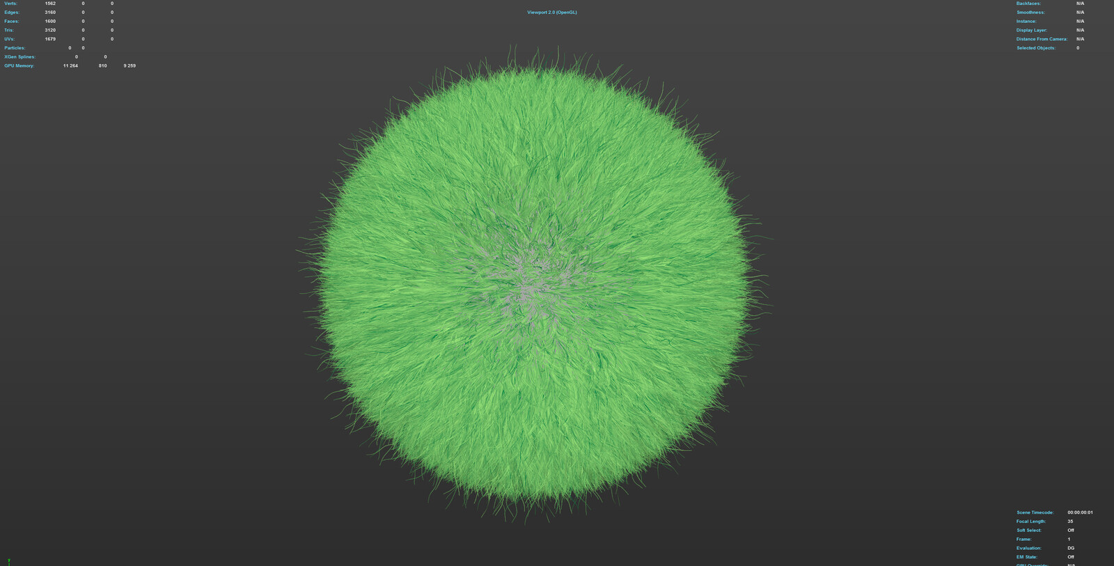 random color