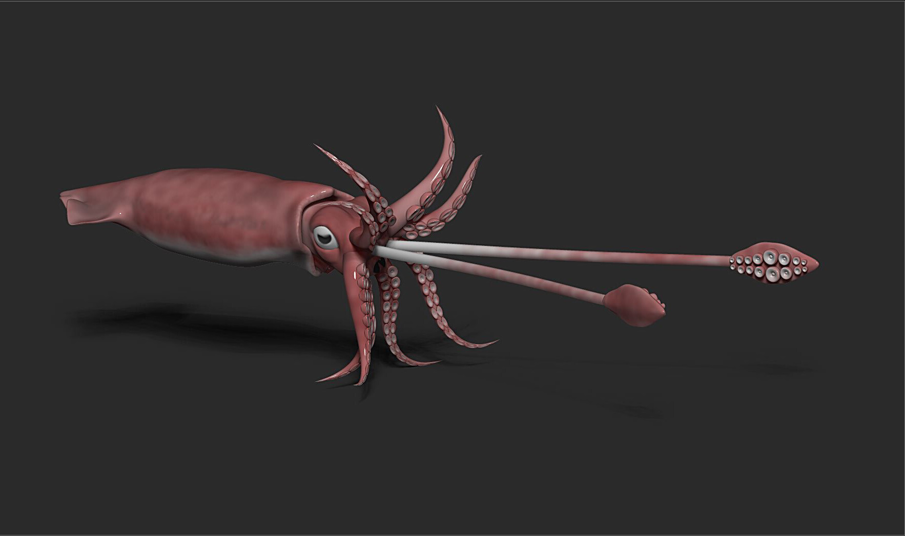 ArtStation - Squid