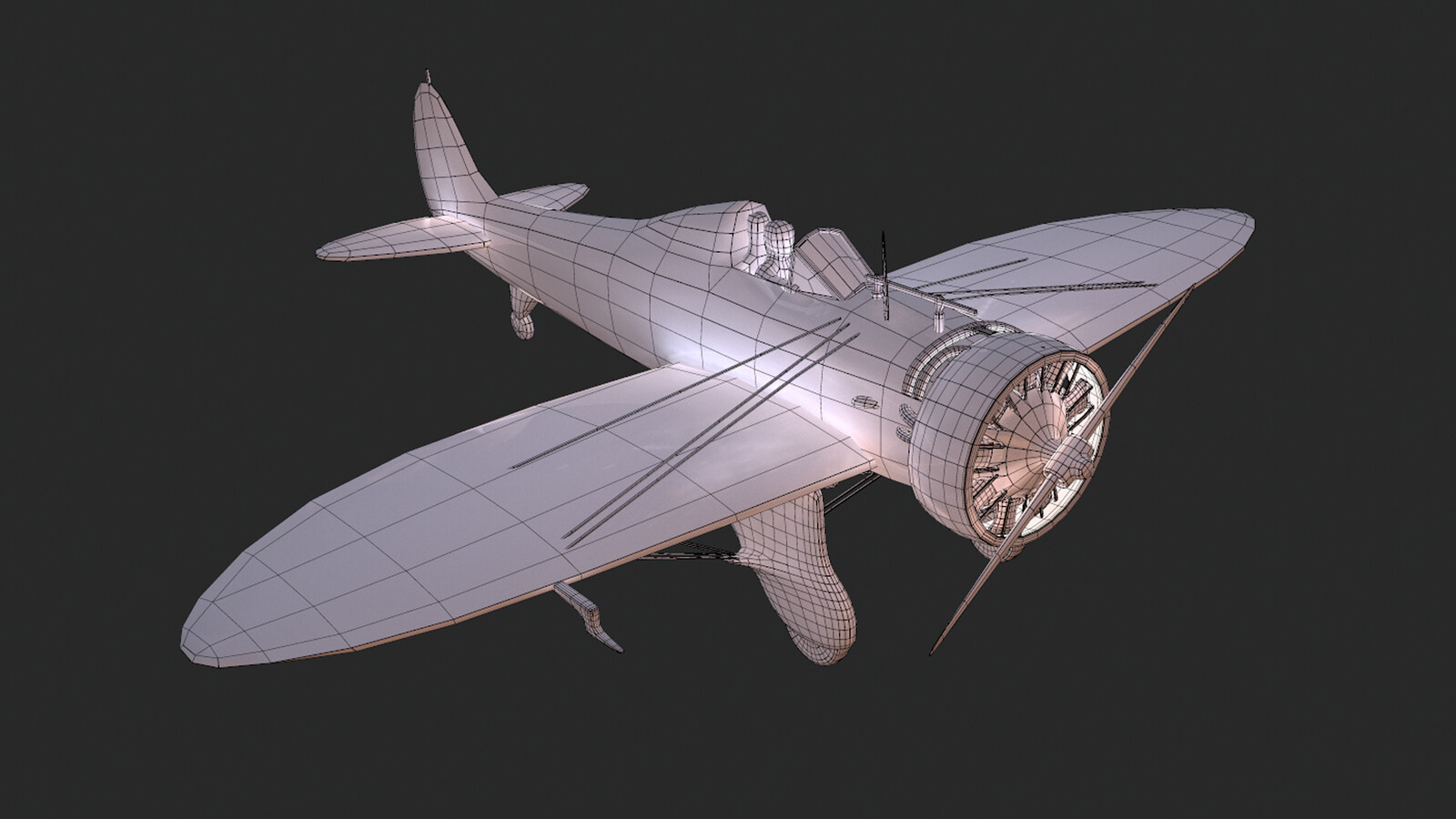 Topology wireframe reference 