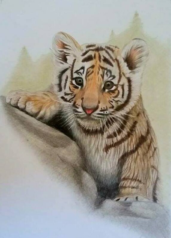 Artstation Cute Tiger Cub Attila Arva,Animated Cartoon Images For Whatsapp Dp For Girls