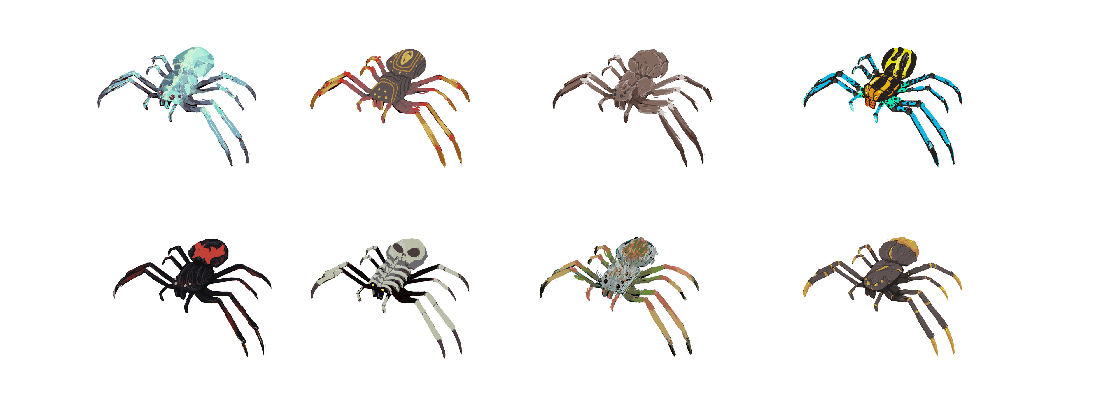 Spider Concepts