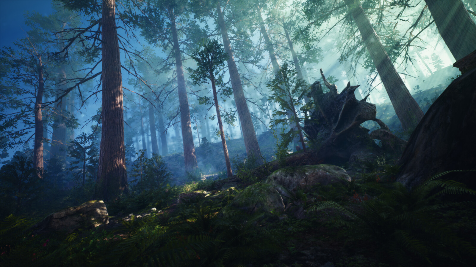Обои для валпапер энджин. Ривервуд Unreal engine. Фогги Редвуд. Темный лес 4к. Картинки на рабочий стол лес.